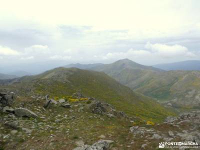 Pico del Lobo - Sierra de Ayllón;rutas sierra madrid hayedo de irati cinta mochila federacion de esc